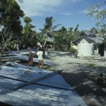 Painting sheets for roof of church.